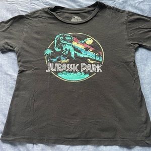 Women’s Gray Jurassic Park T-Shirt Small